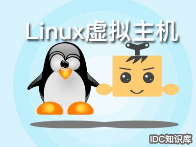 虛擬主機和vps的區(qū)別-域名頻道IDC知識庫