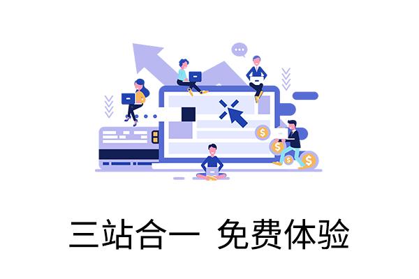 定制開發(fā)電商網(wǎng)站建設(shè)-域名頻道IDC知識庫